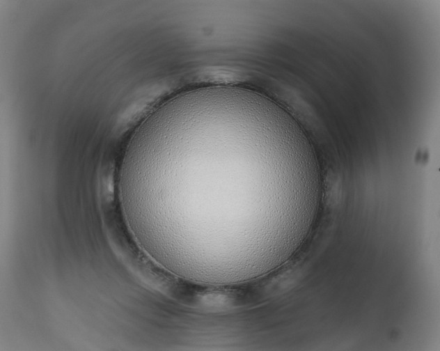 X0000112500358200908241355