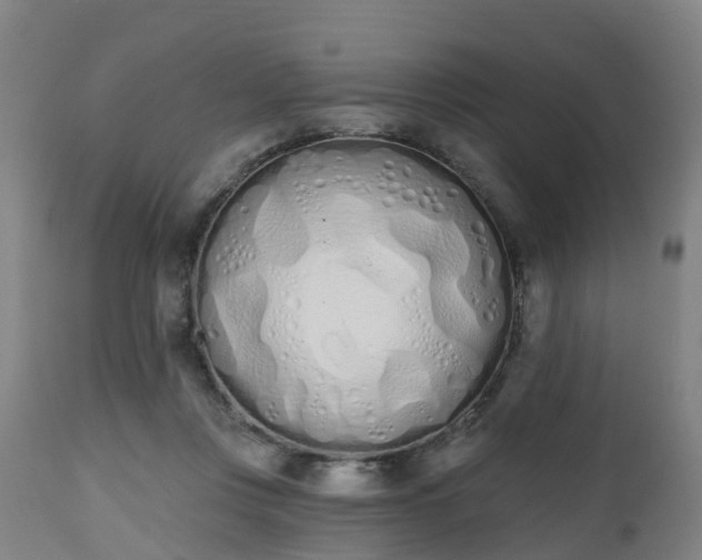 X0000112500359200908241355