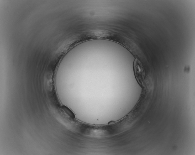 X0000112500360200908241355