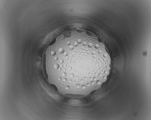 X0000112500361200908241355