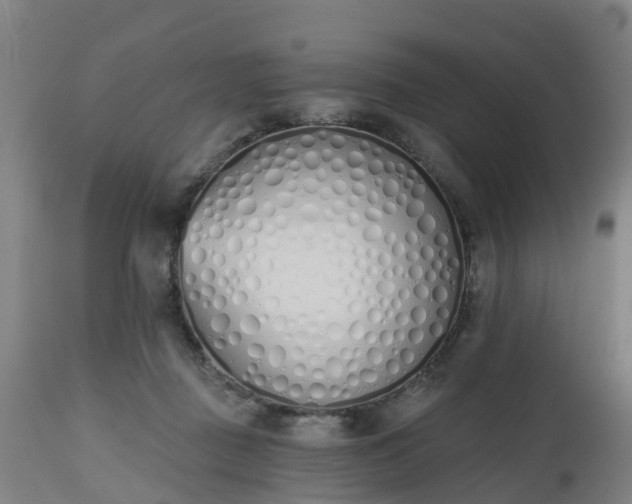 X0000112500363200908241355