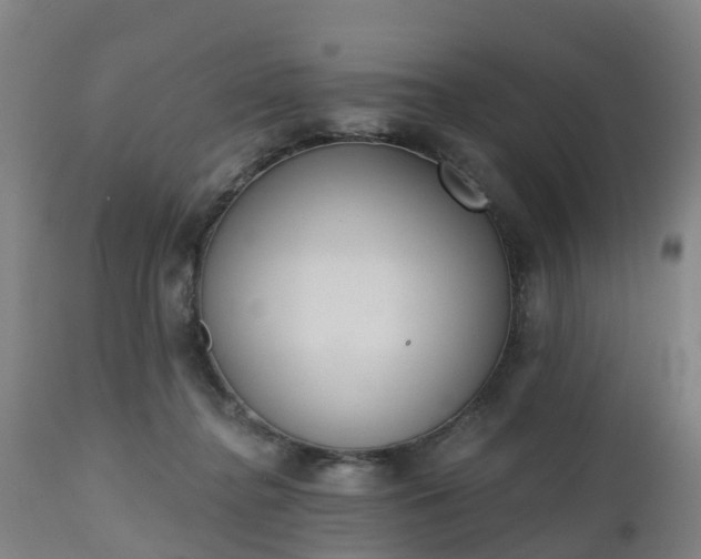 X0000112500364200908241355