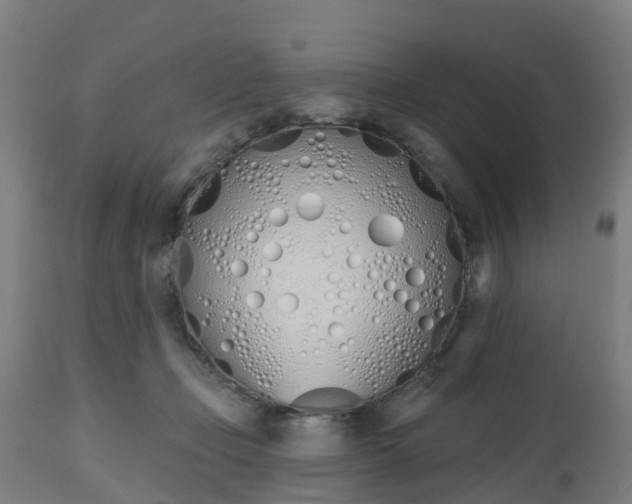 X0000112500365200908241355