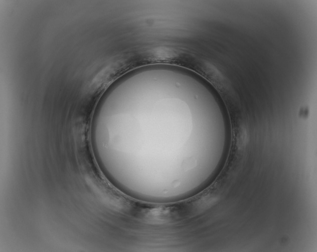 X0000112500366200908241355