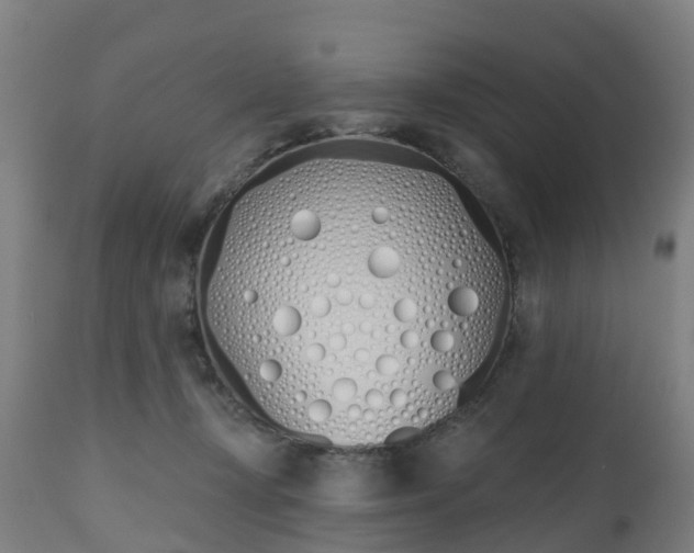 X0000112500367200908241355