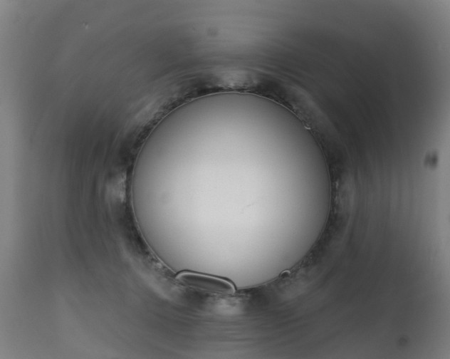 X0000112500368200908241355