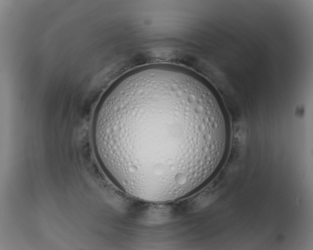 X0000112500369200908241355