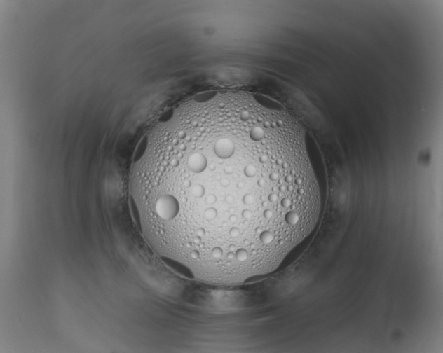 X0000112500371200908241355