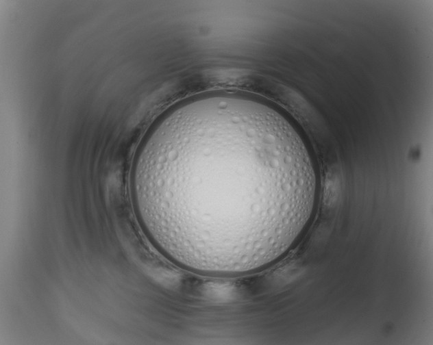 X0000112500377200908241355