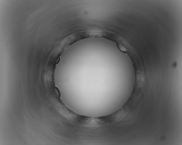 X0000112500379200908241355