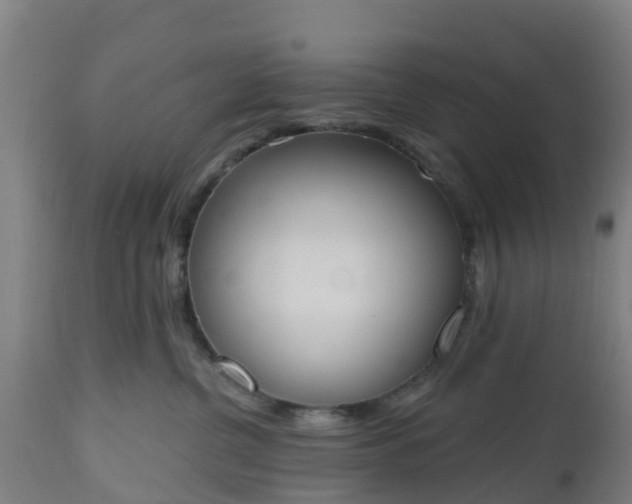 X0000112500380200908241355