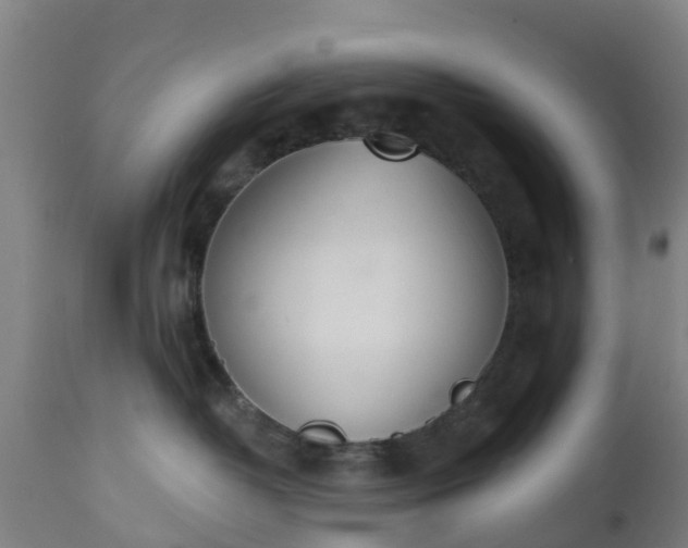 X0000112500382200908241355