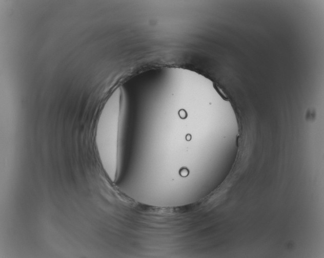 X0000112500384200908241355