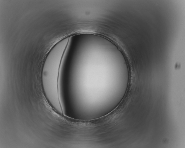 X0000112500385200908241354