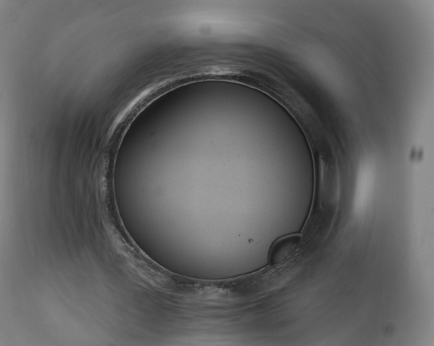 X0000112500387200908241354