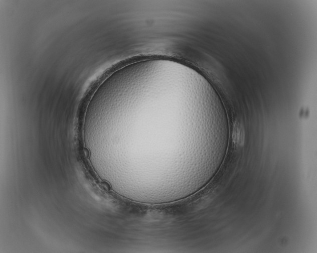 X0000112500388200908241354