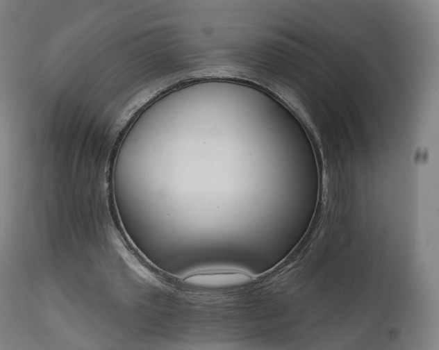 X0000112500389200908241354