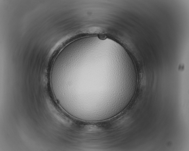 X0000112500392200908241354