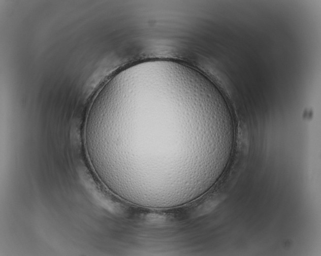 X0000112500394200908241354