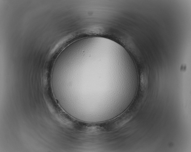 X0000112500396200908241354