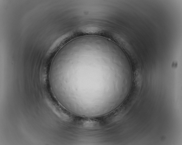 X0000112500400200908241354