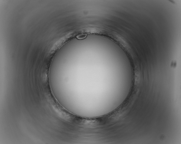 X0000112500401200908241354