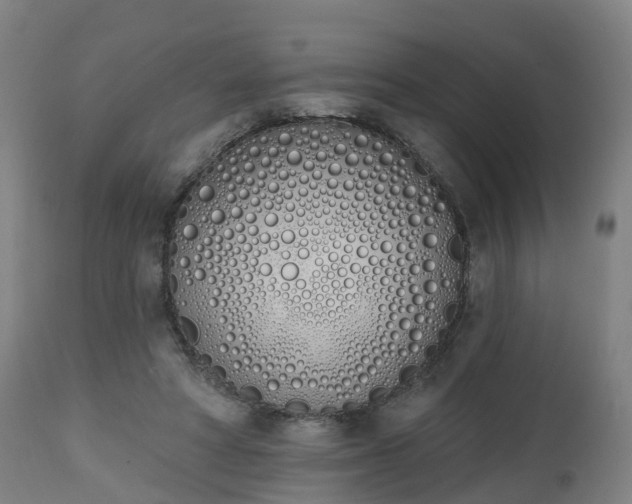 X0000112500402200908241354