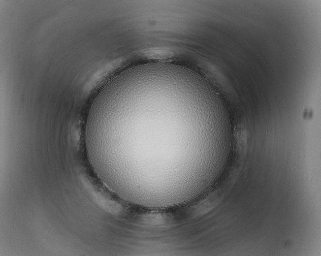 X0000112500404200908241354