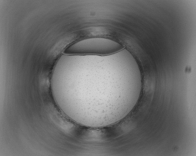 X0000112500405200908241354