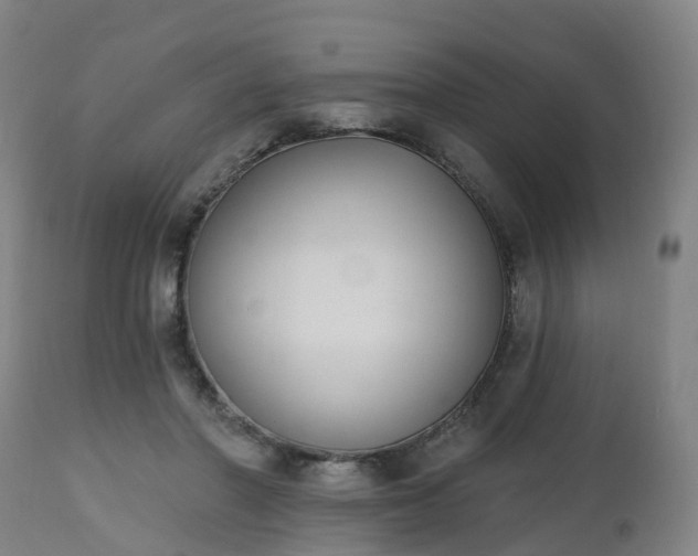 X0000112500406200908241354