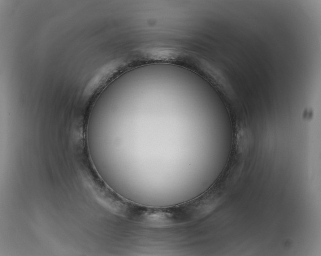 X0000112500407200908241354