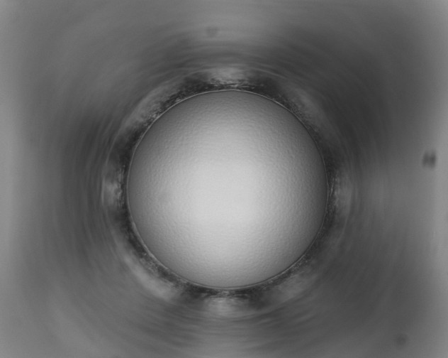 X0000112500408200908241354