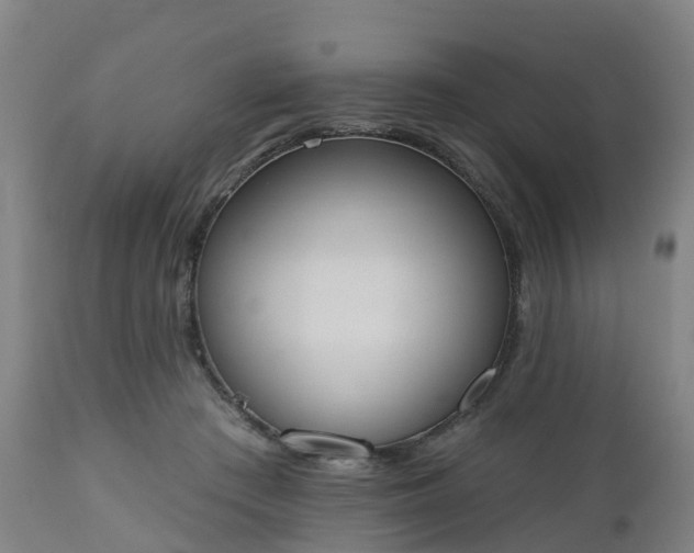 X0000112500409200908241354