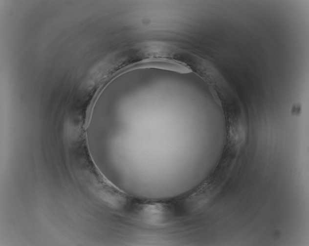 X0000112500411200908241354