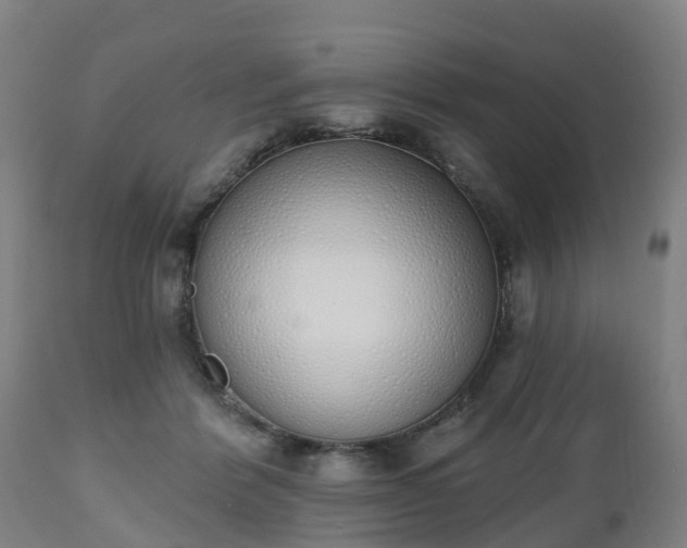 X0000112500412200908241354