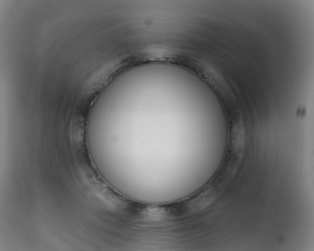 X0000112500413200908241354