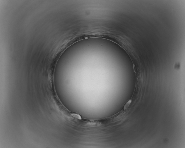 X0000112500415200908241354