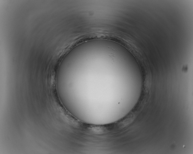 X0000112500417200908241354