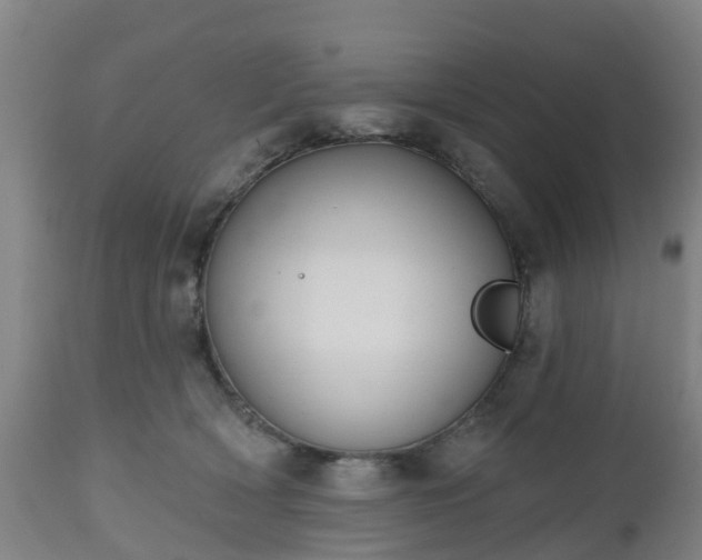 X0000112500418200908241354