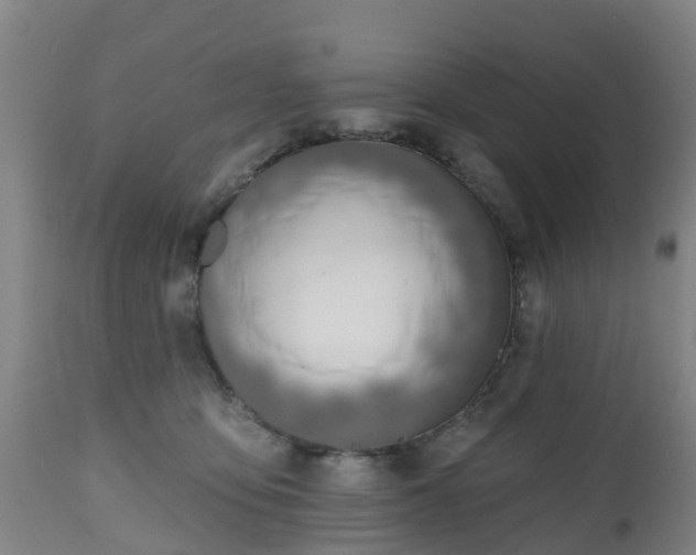 X0000112500419200908241354