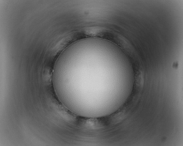 X0000112500420200908241354