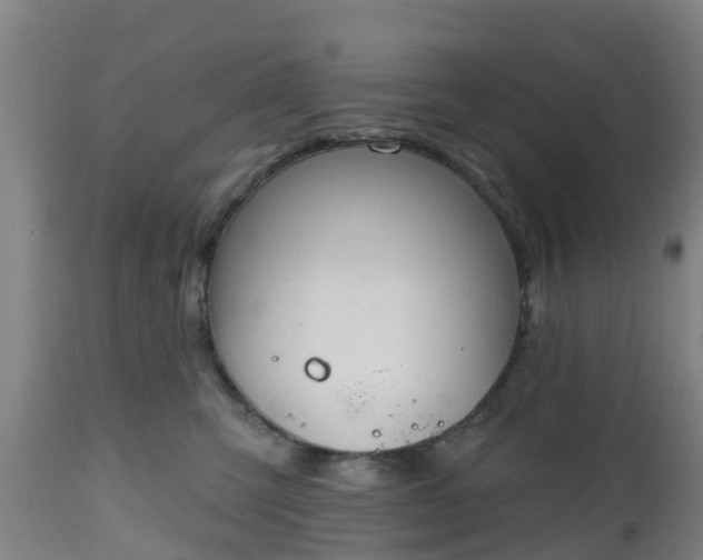 X0000112500423200908241354