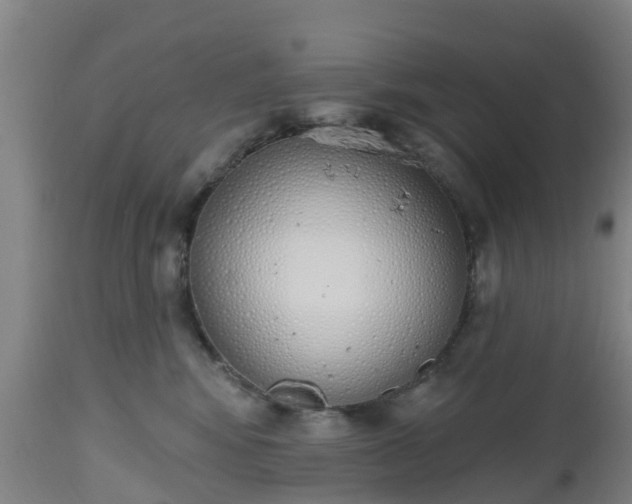 X0000112500424200908241354