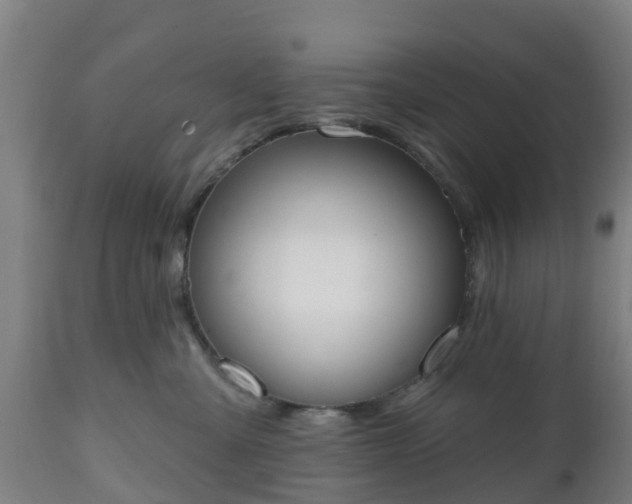 X0000112500427200908241354