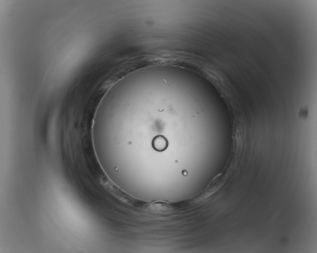 X0000112500429200908241354