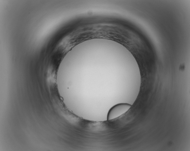 X0000112500431200908241354