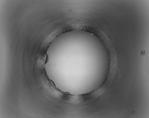 X0000112500432200908241354