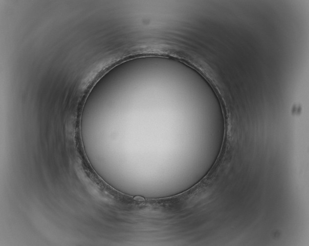 X0000112500434200908241353