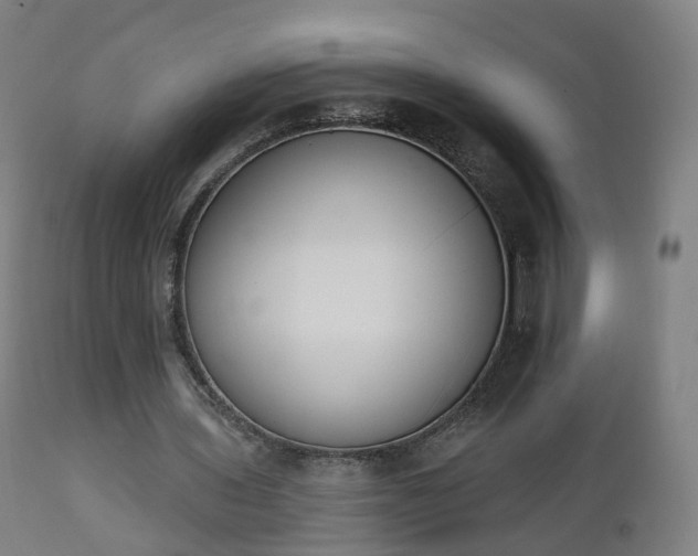 X0000112500435200908241353