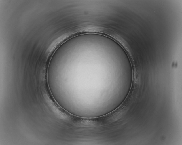 X0000112500437200908241353